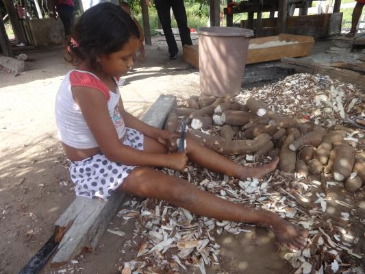 A little girl peels manioc to make flour in Acará, in the state of Pará, in the northeast of Brazil's Amazon region. In the rural sectors of Brazil, it is a deeply-rooted custom for children to help with family farming, on the grounds of passing on knowle