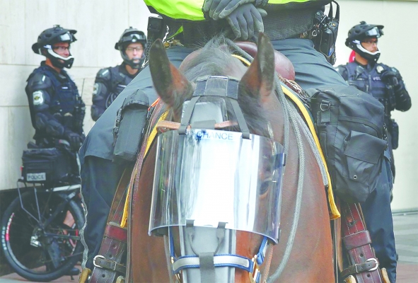 Councilmembers are considering limits to city executive pay and selling SPD’s horses and stables in an effort to defund the police.