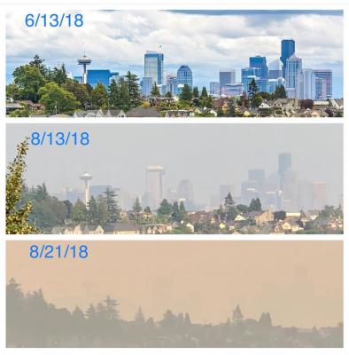 The view from a Magnolia home showing the deteriorating air quality in Seattle from wildfire smoke moving into the area. Photo courtesy Shannon (IG @SMS0918)