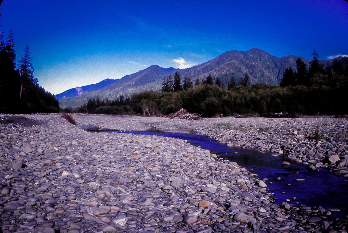 Grand view of the Queets River when it’s running low during the summer season. Photo by Bryant Carlin