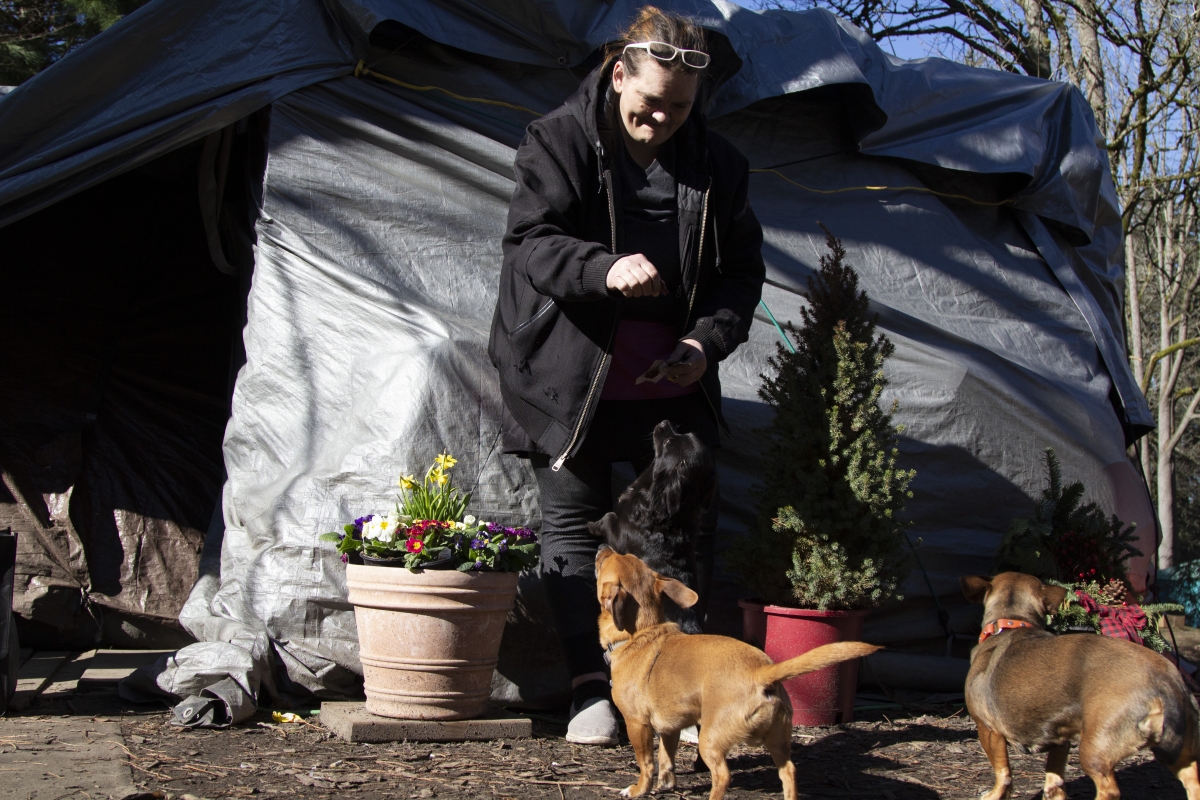 Middle-aged woman in hoodie feeds dogs in front of a tent