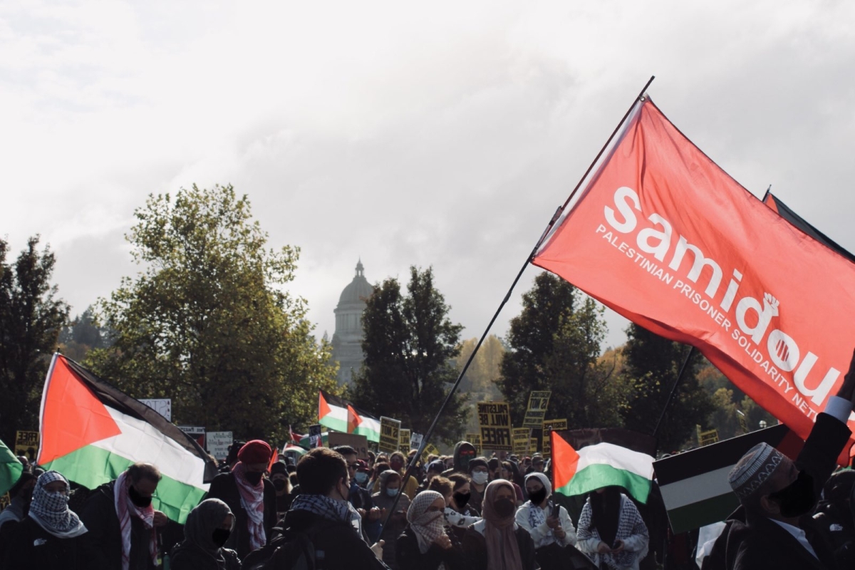Protesters march for Palestinian rights at the Washington capitol, Nov. 4, 2023.