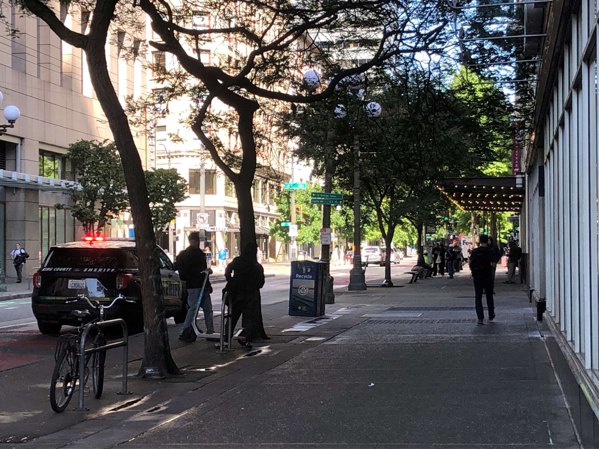 View of tree-lined city street with a few passersby and a sheriff's car on street