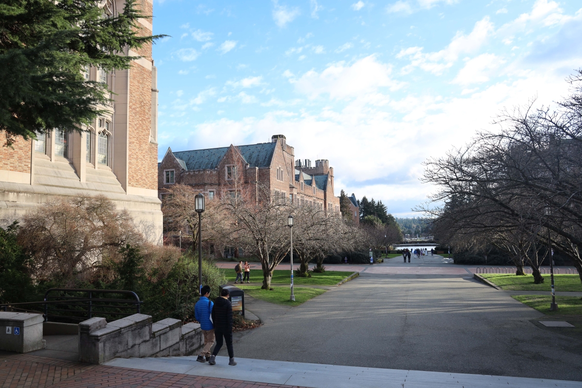 View of tree- and building-lined walkway on U. of Washington campus