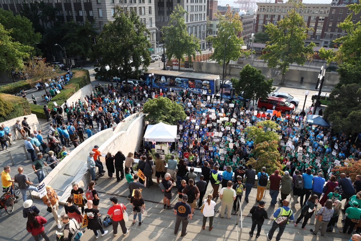 View from above of large crowd filling tree-edged city square