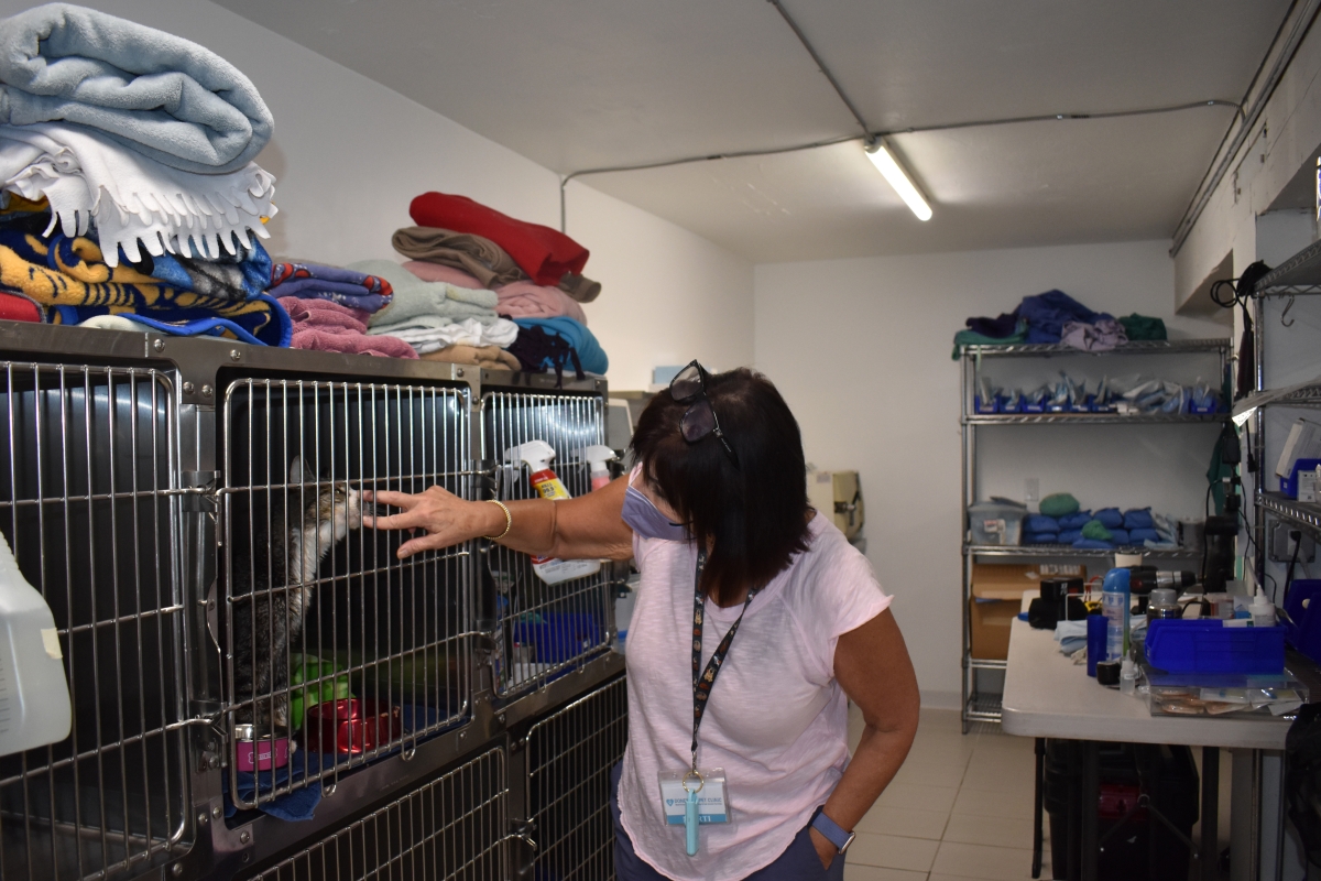 Dark-haired woman in pink medical scrubs holds up hand to a cat in one of a row of cages in an equipment room, with folded blankets stacked on top of the cages.