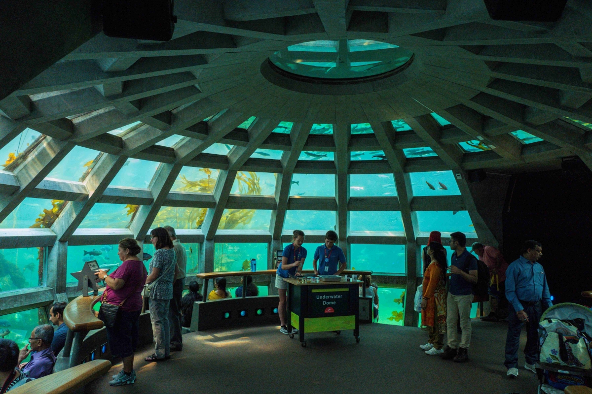 People standing in domed, green-lit space looking through underwater windowpanes