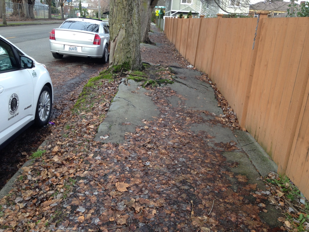 A sidewalk in South Park was in need of severe repair, July 2016. 