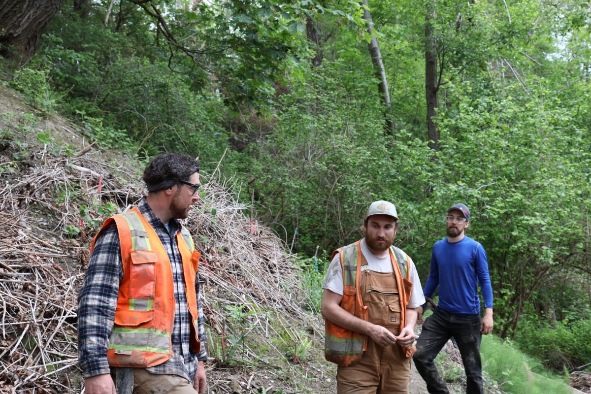 Three young white men, the first two in orange vests, stand on a slope covered with branches; trees visible in background