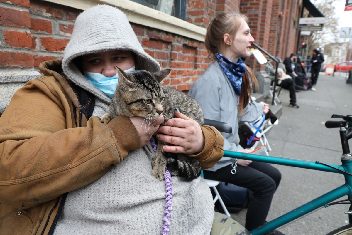 Woman with pinned-back red hair and blue scarf seen in profile sitting outside on city street; a gray and black tabby cat is in the foreground, being held in the arms of another person.
