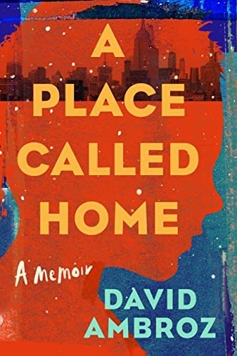 Cover of book, "A Place Called Home" by David Ambroz, showing profile cutout of child's head in red against blue background