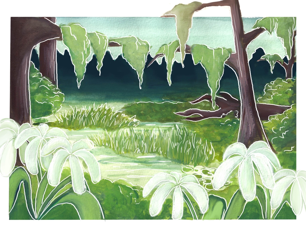 An illustration of a swampy pond area with trees on the banks of the water and plants with large fronds in the foreground.
