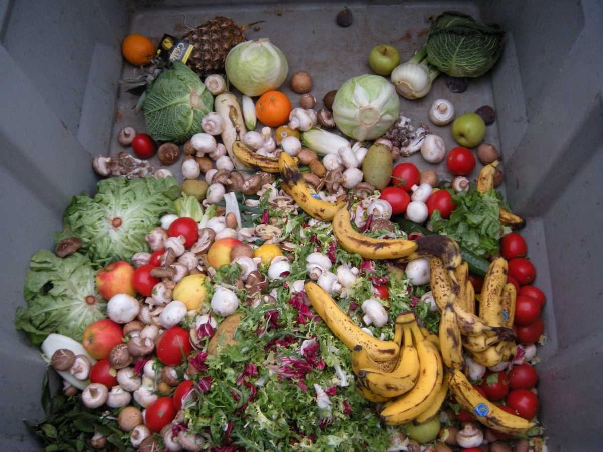 Photograph of a pile of lettuce, tomatoes, bananas, and other vegetables at bottom of gray garbage bin