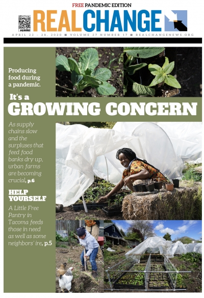 Things are growing at Nurturing Roots farm in Beacon Hill. Since the pandemic, food supply chains have broken, and food banks are suffering the consequences. Small, urban farms are part of the answer to feeding the hungry. The story begins on page 6. Phot
