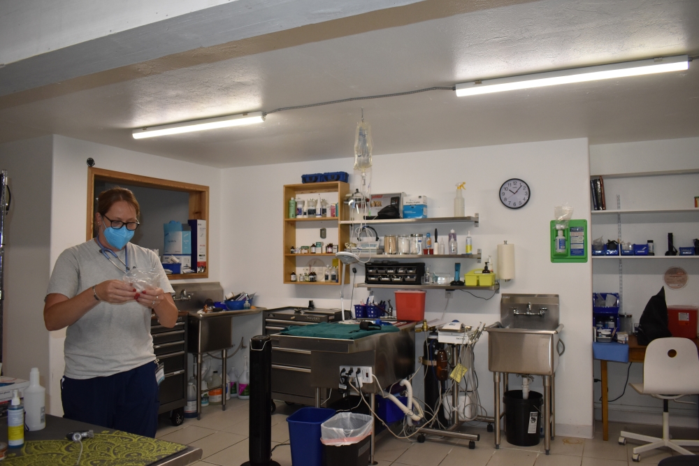 Young white woman in glasses and mask stands in a clinic office holding medical equipment.