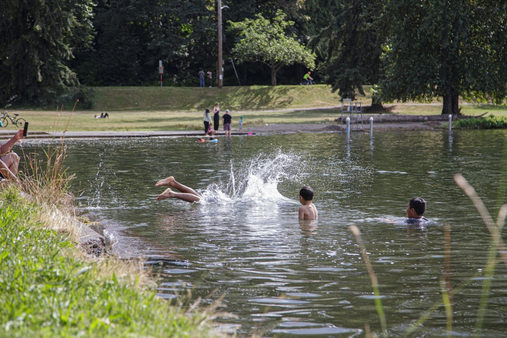 Swimmers in the water at Seward Park